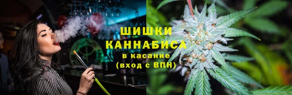 крисы Арсеньев